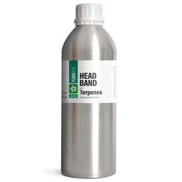 Photo of Headband Terpenes